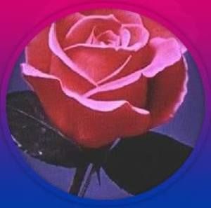 Meet your Posher, Nova